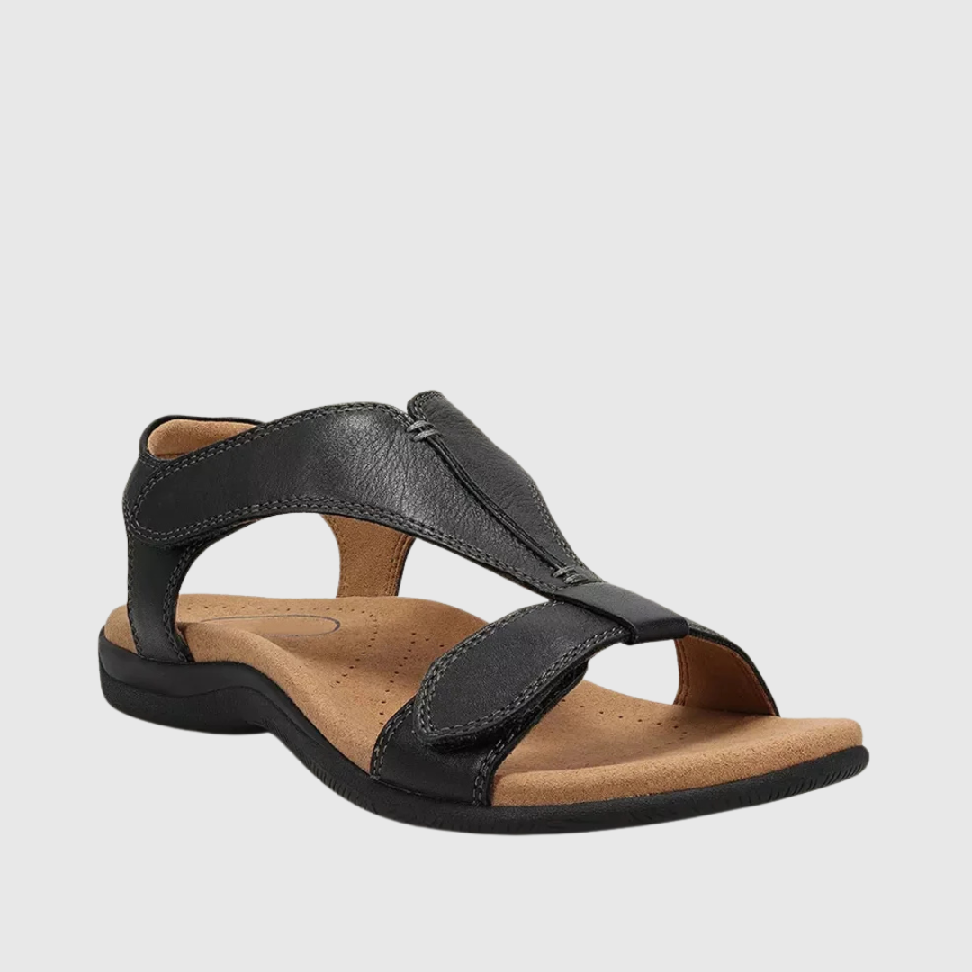 Black / 43